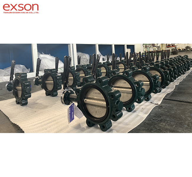 Lever operated lug type butterfly valve